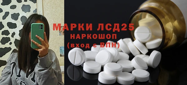 таблы Бородино
