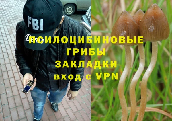 таблы Бородино