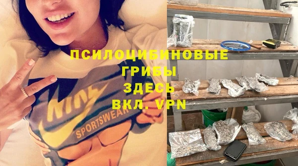 гидропоника Бугульма