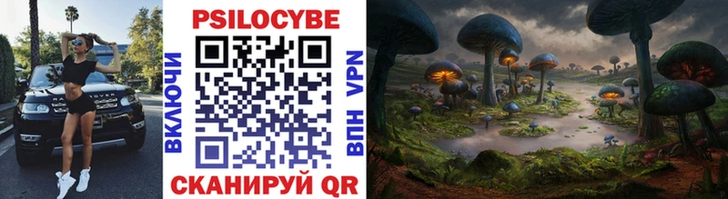 Псилоцибиновые грибы Cubensis  Медынь 